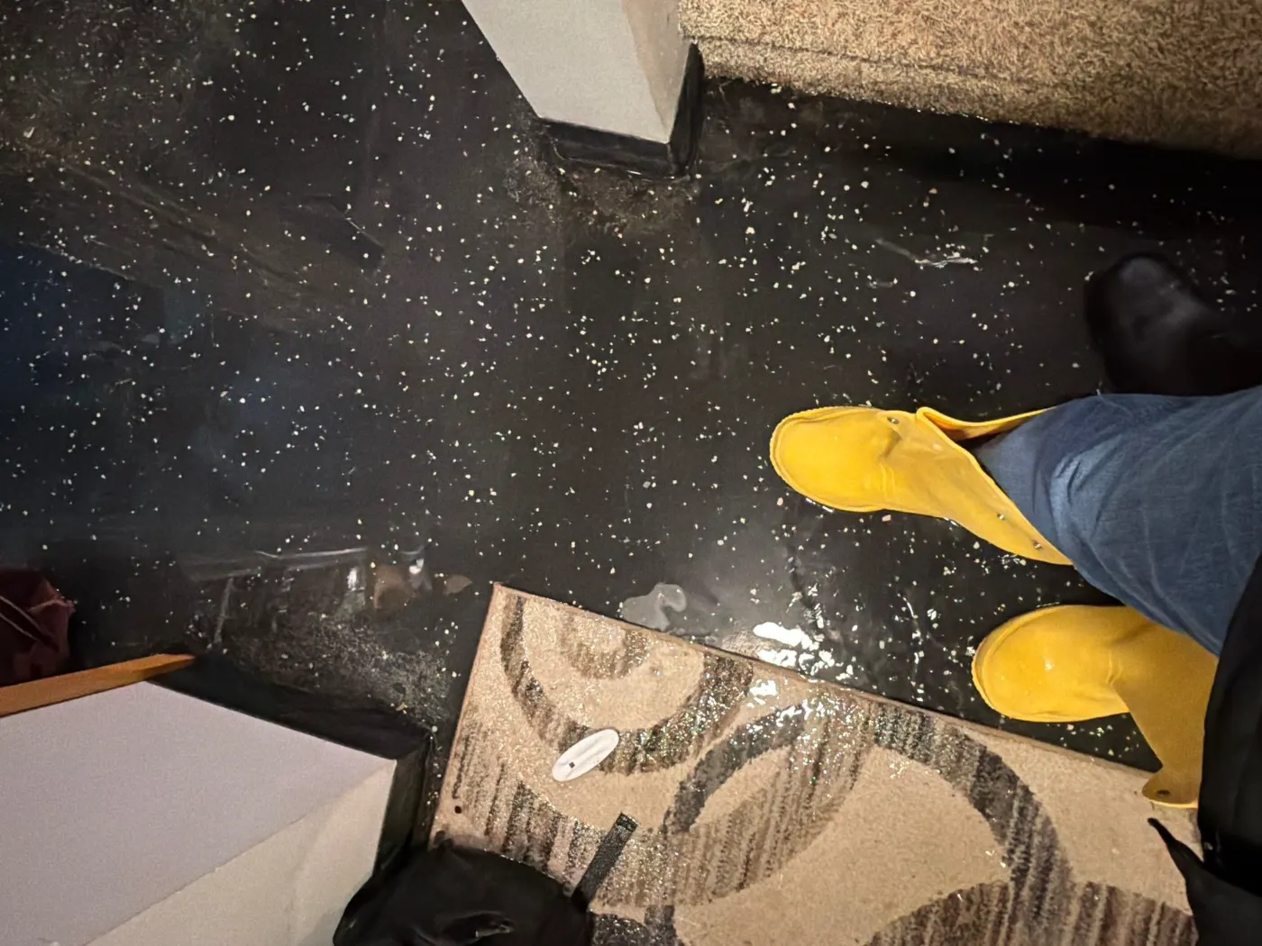 Water extraction after storm event in Westport residential home
